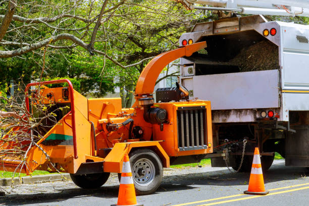 Landscape Design and Installation in Georgetown, CT